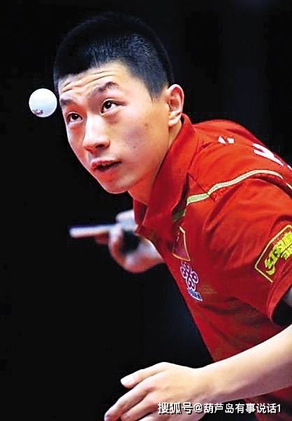 育或其他領 育或其他領