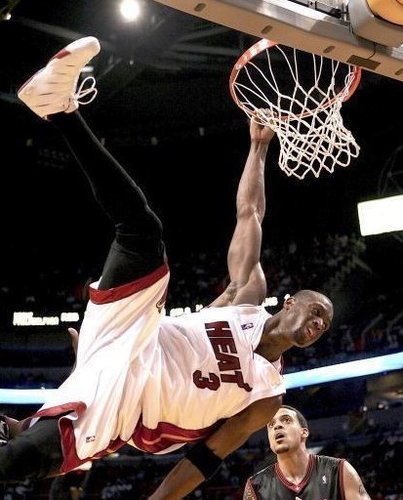 的分区王朝 的分区王朝